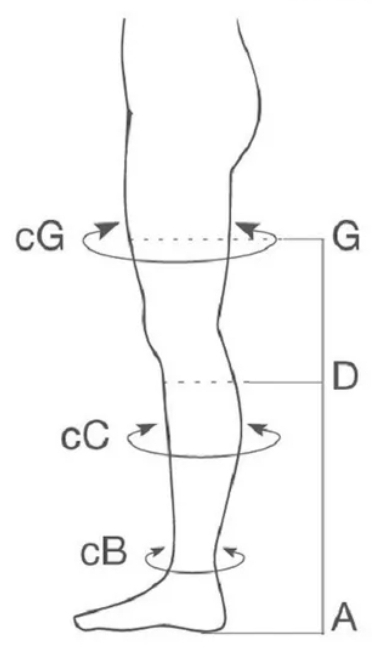 medidas meia compressão